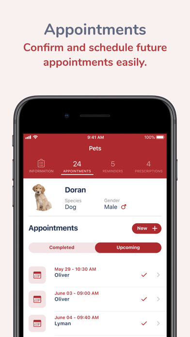 Mukilteo Veterinary Hospital Screenshot