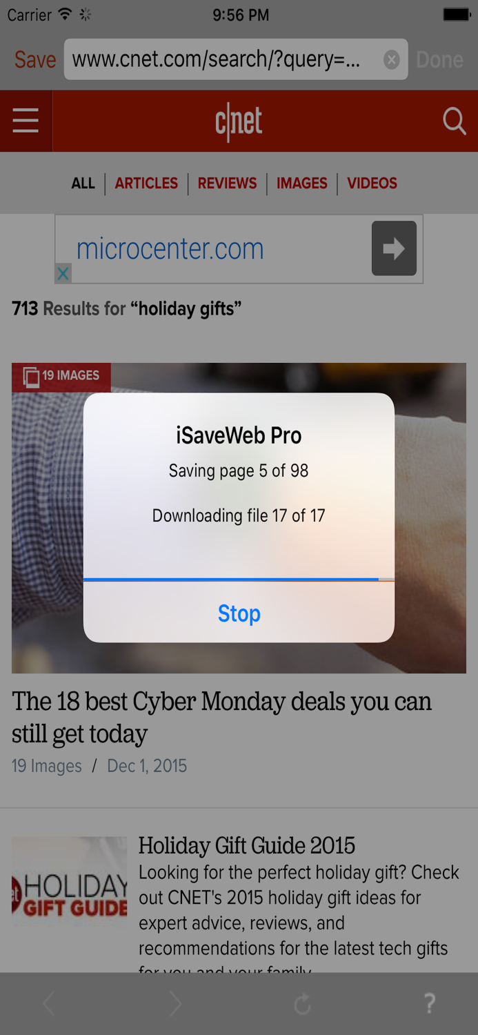iSaveWeb Pro