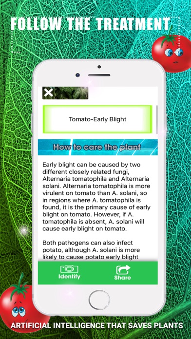 Identify Tomato Plant Diseases Screenshot