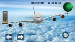 Game screenshot Passenger Airplane Flight Sim hack
