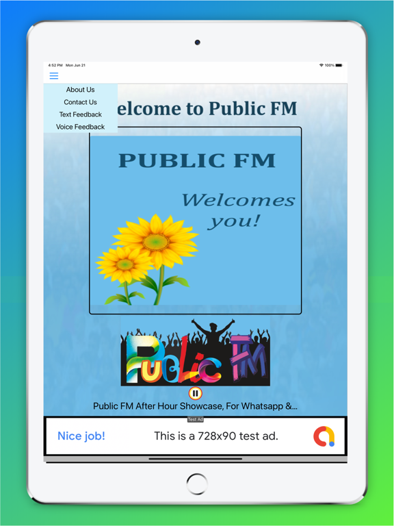 Screenshot #5 pour Public FM.