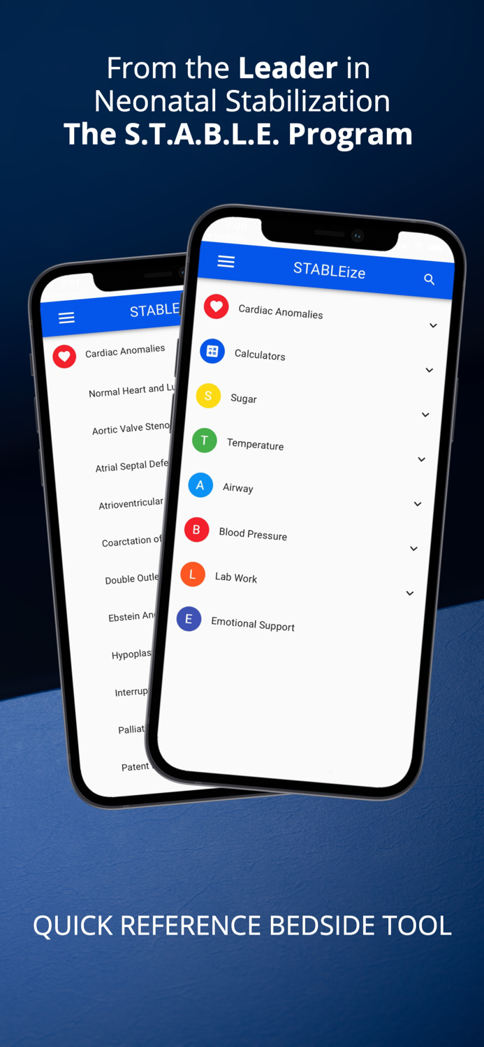 STABLEize - The STABLE Program