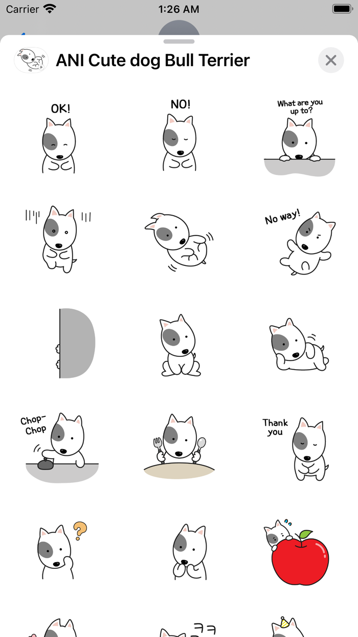 ANI Cute dog Bull Terrier