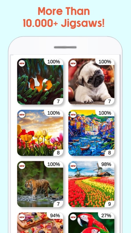 Jigsaw Puzzle: game for adults