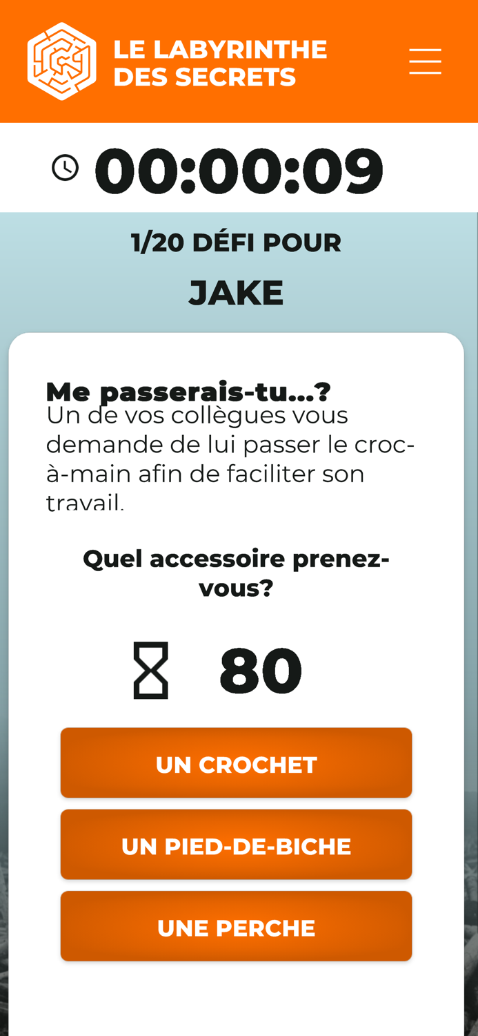 Le labyrinthe des secrets