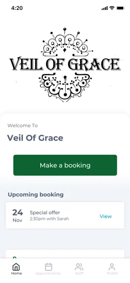 Game screenshot Veil Of Grace mod apk