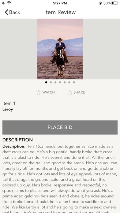 Gold Buckle Horse Sale Screenshot