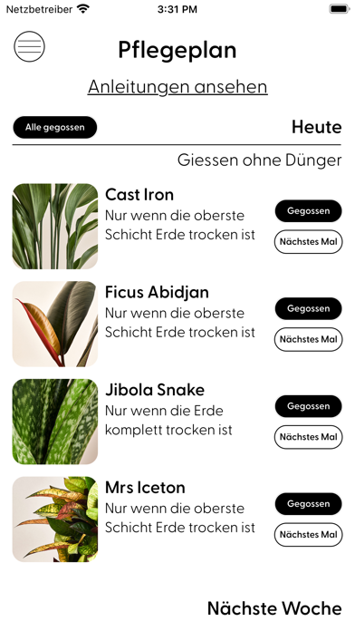 MaryCare Screenshot