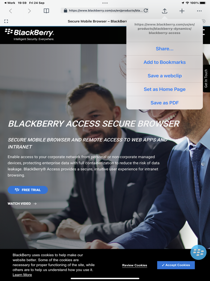 BlackBerry Access