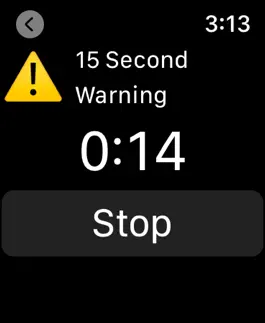 Game screenshot Pickleball Referee Timer apk