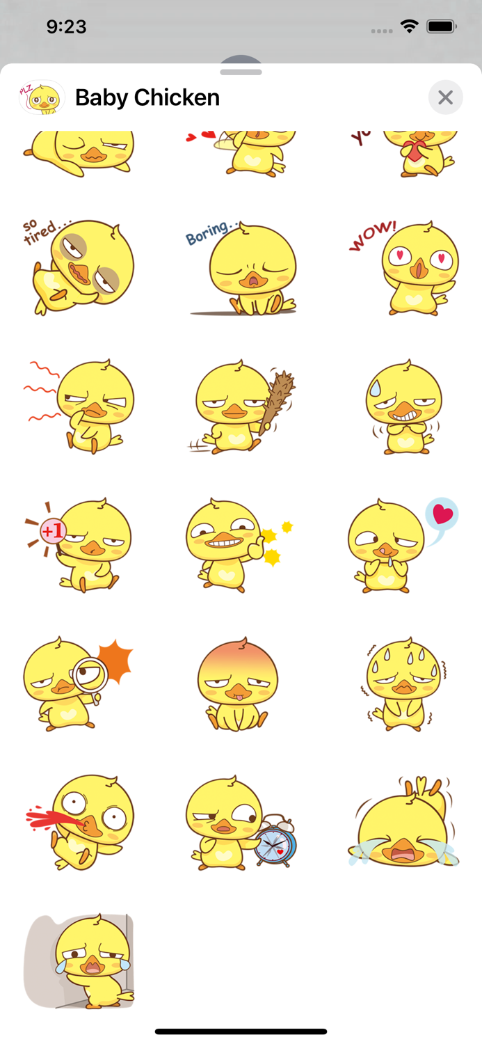 Yellow Baby Chicken Sticker