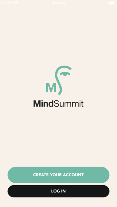 MindSummit Screenshot