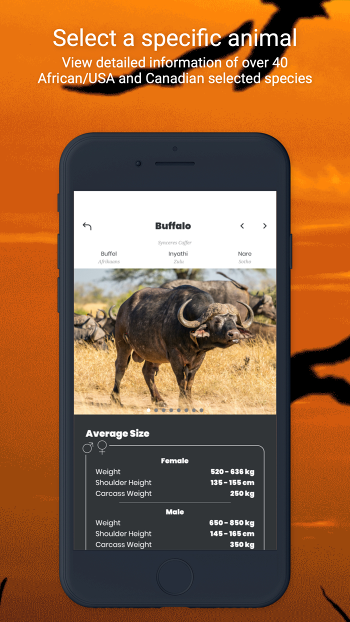 International Hunters