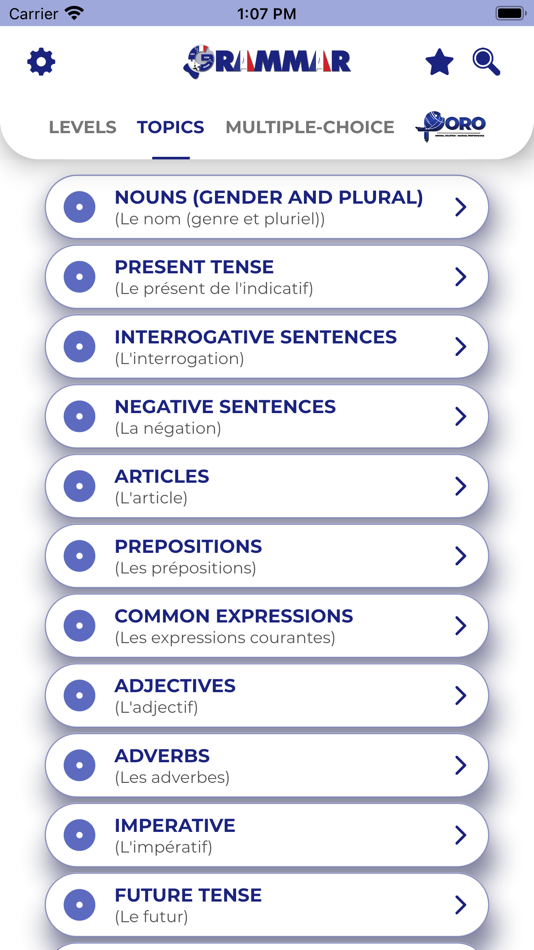 #8. FRENCH GRAMMAR・Lessons & Tests (iOS) 由: PORO Studio