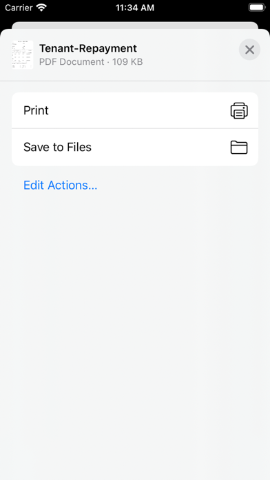 Rent Repayment Plan Screenshot