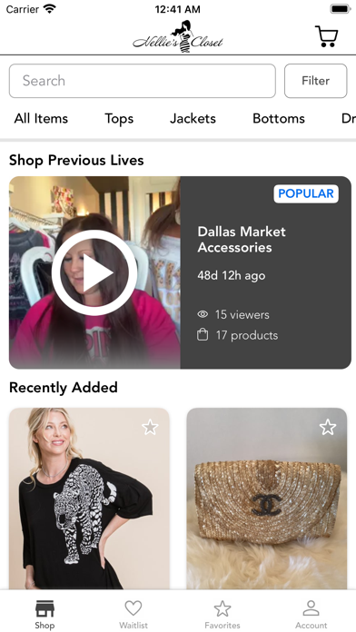Nellie's Closet Screenshot