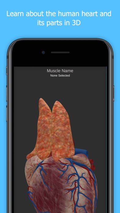 Anatomy Of The Human Heart Screenshot