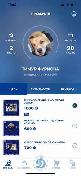Game screenshot ВК Динамо mod apk