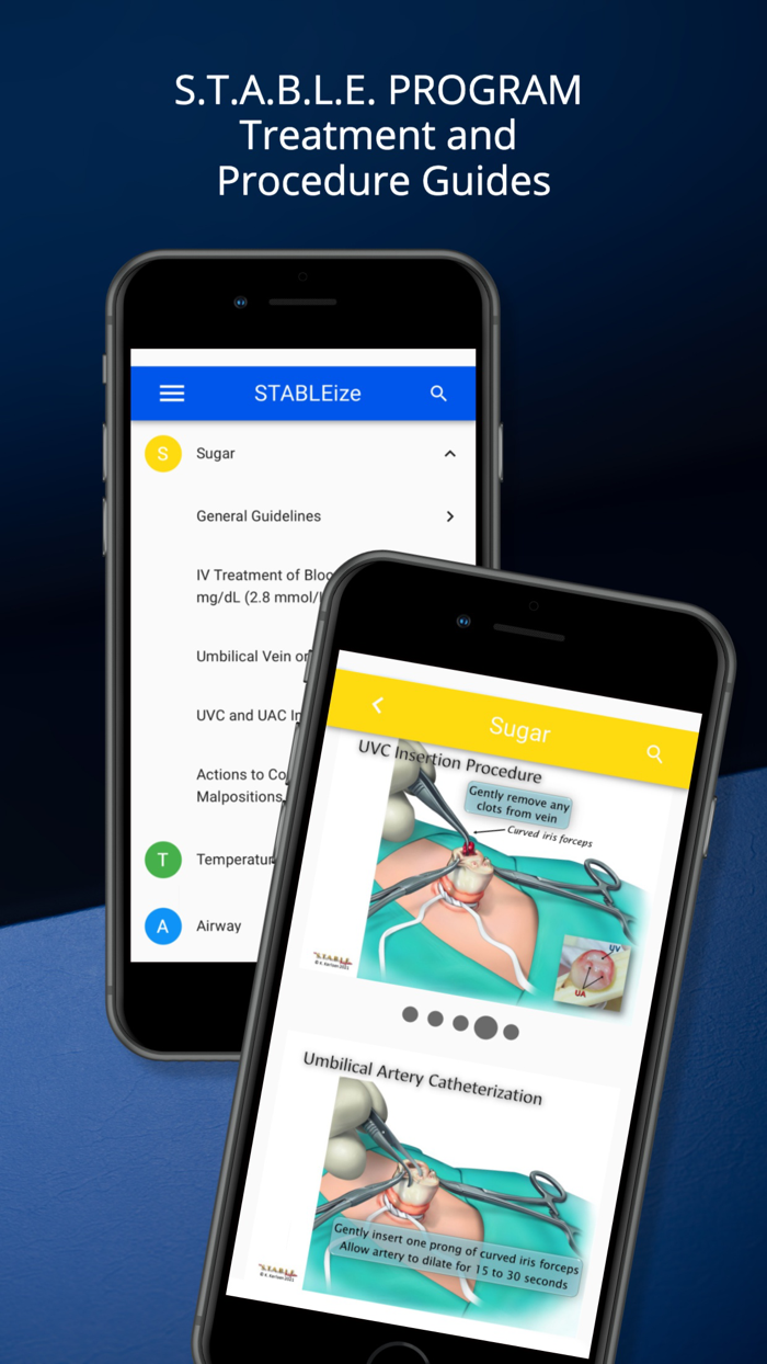 STABLEize - The STABLE Program