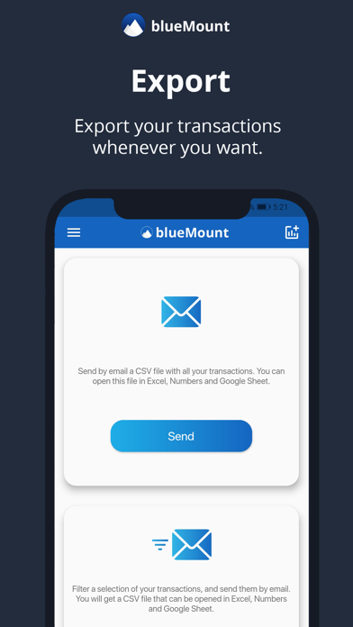 BlueMount - Money manager Screenshot