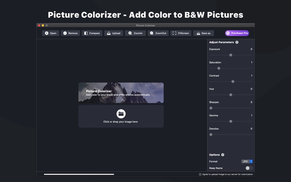 Picture Colorizer - 2.0.0 - (macOS)