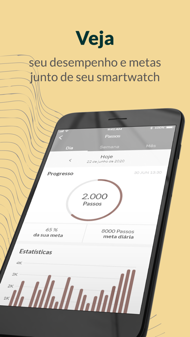 Seculus Smart 2.0 Screenshot