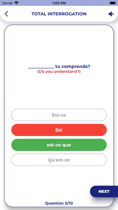 FRENCH GRAMMAR・Lessons & Tests Screenshot