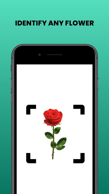 Flower identifier - Photo ID
