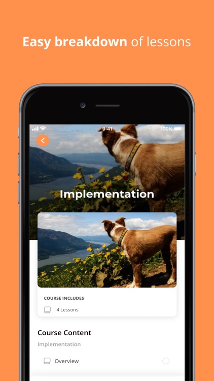 Scentventure Dog Training