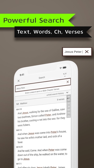 Smart Holy Bible KJV, Topics Screenshot