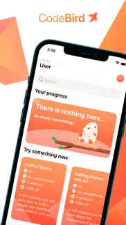 codebird iphone screenshot 1