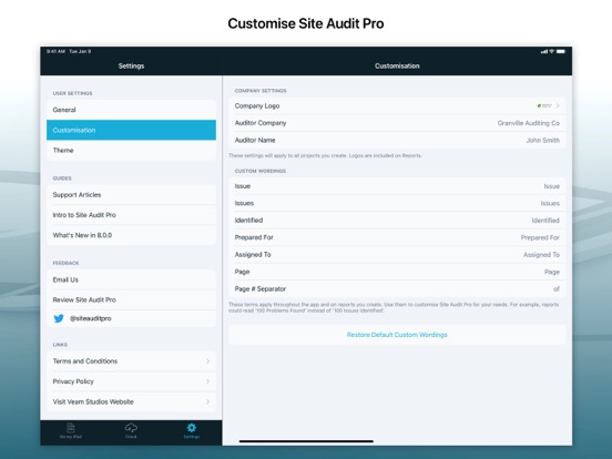 Site Audit Pro iPad app afbeelding 8