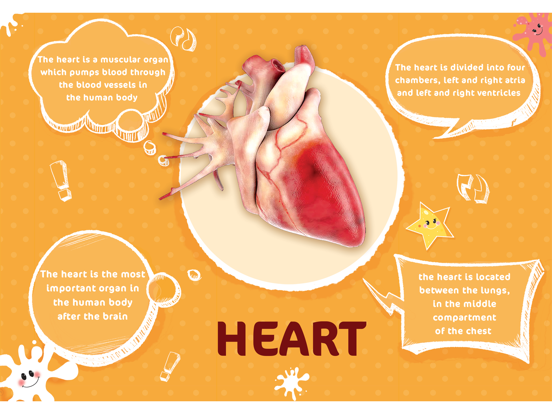 Human Body AR iPad screenshot 4 - Education app