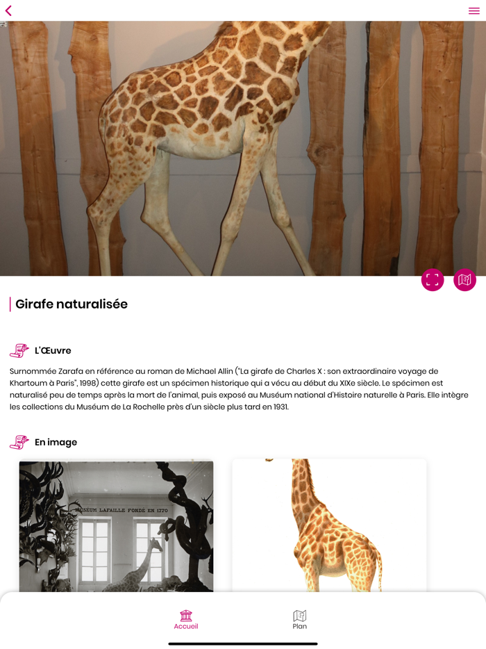 Museum La Rochelle VisiteMusee