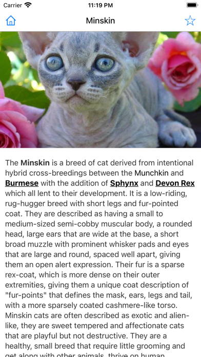 Encyclopedia of Cats Screenshot