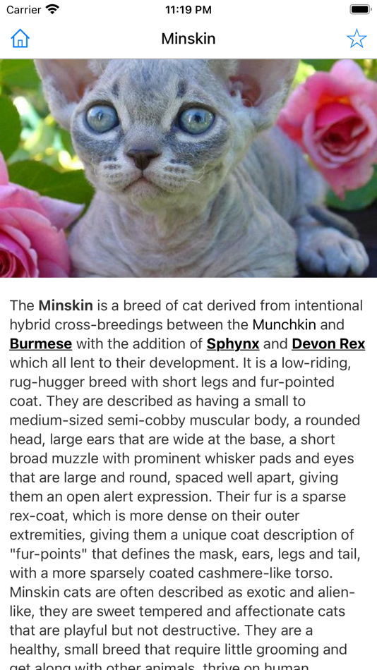 #4. Encyclopedia of Cats (iOS) Podle: Good Spider, LLC