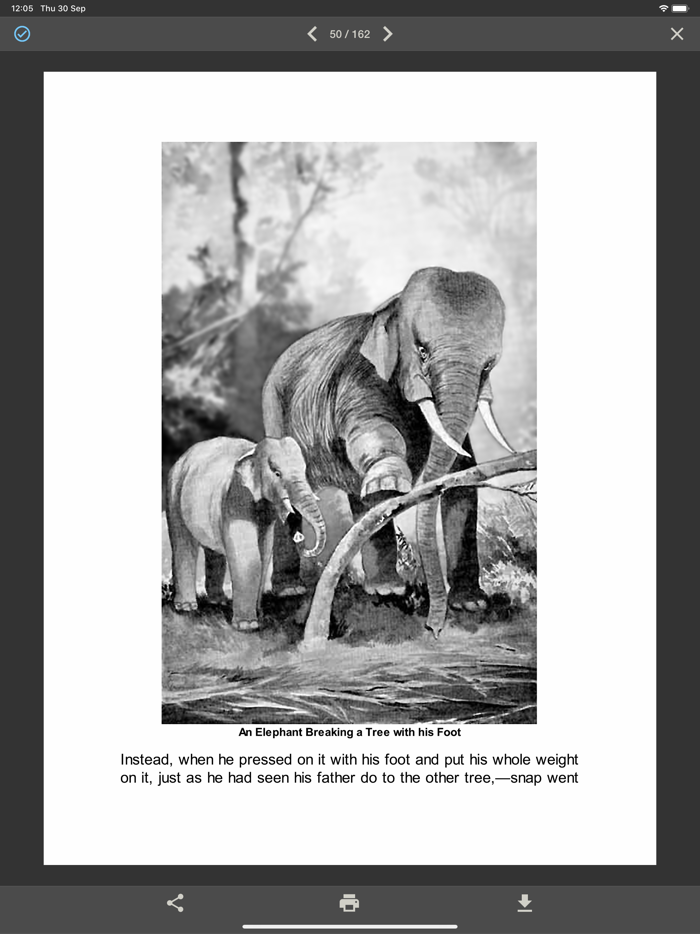 PDF to Image - JPG PNG HEIC