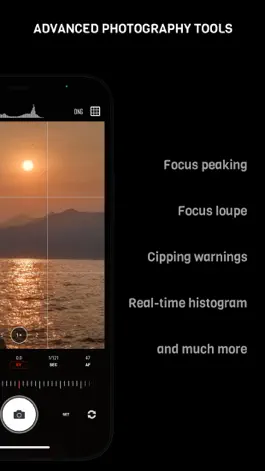 Game screenshot CameraPixels PRO apk