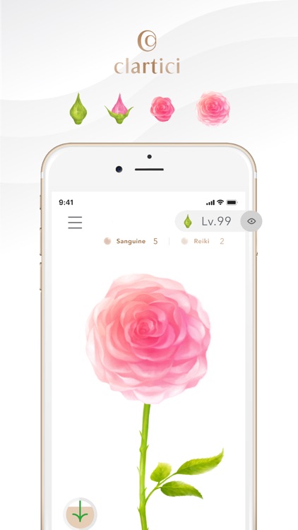 clartici screenshot-3