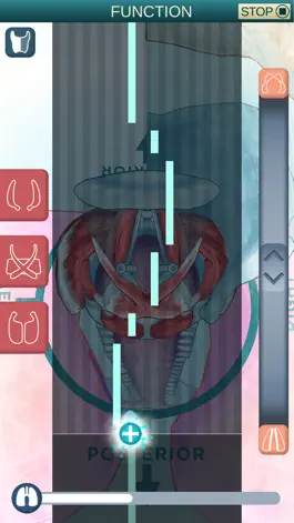 Game screenshot The Singing Larynx hack
