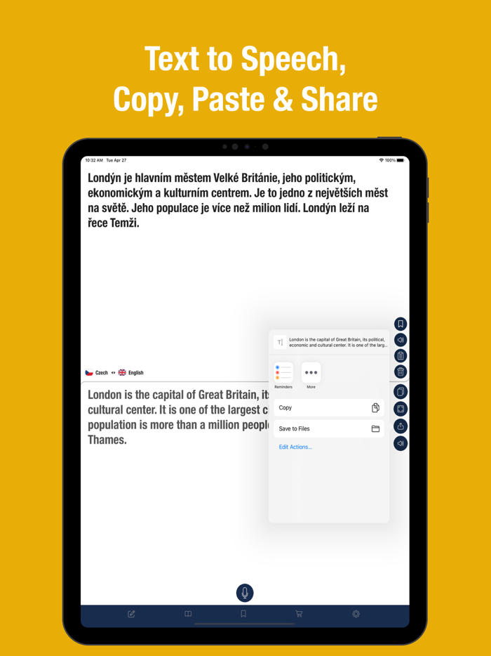 Czech to English Translator