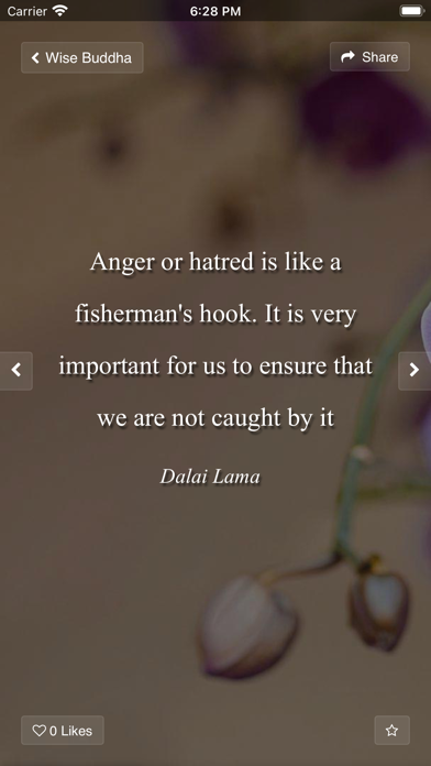 Wise Buddha Quotes Screenshot
