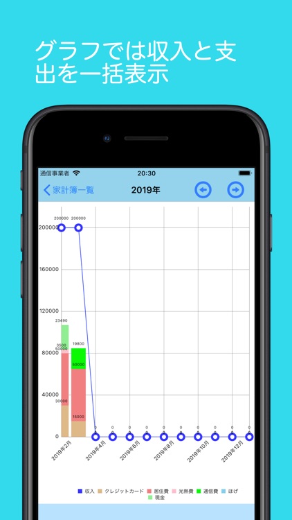 普通の家計簿 screenshot-4