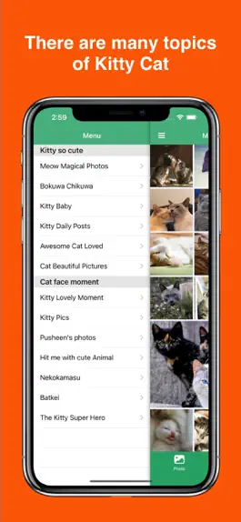 Game screenshot Kitty Cat Wallpapers 4K HD apk
