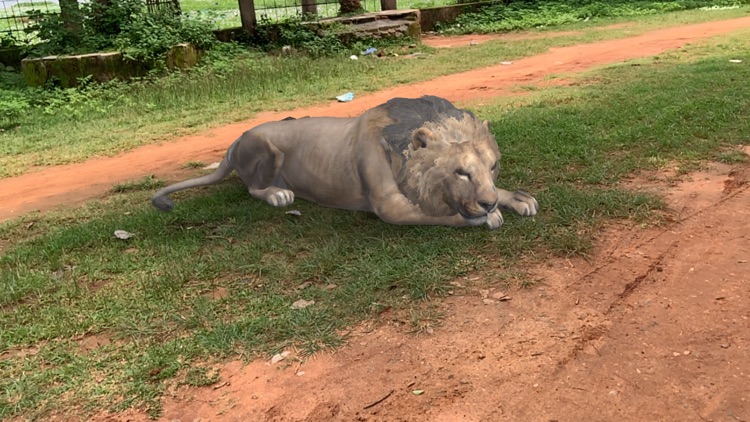 AR Real Animals screenshot-3