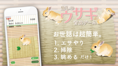 癒しのウサギ育成ゲーム screenshot1