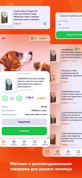 Game screenshot Хвост Ньюс hack