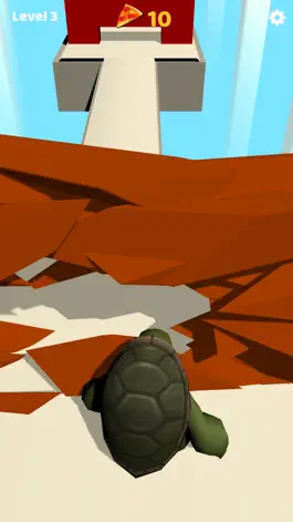 Game screenshot Turtle Run 3D hack
