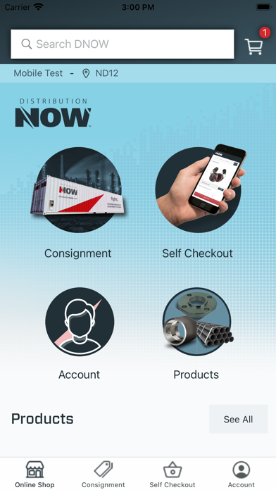 DNOW Ecommerce Screenshot