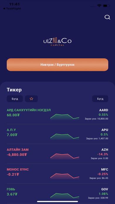 Ulzii&Co Capital Screenshot